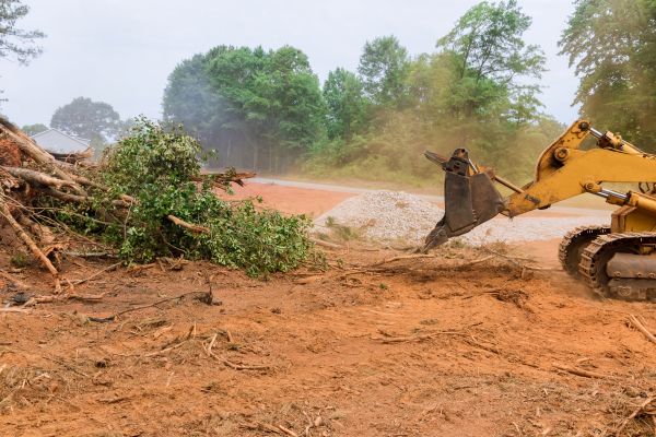 Ground Clearing in Round Rock