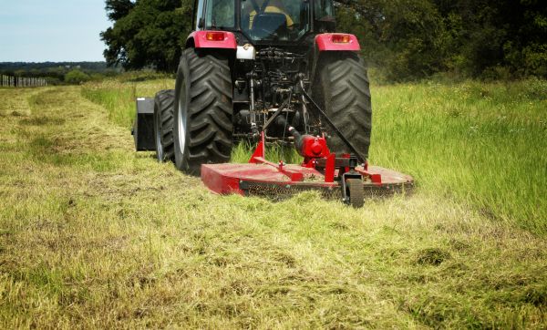 Brush Clearing Service in Round Rock
