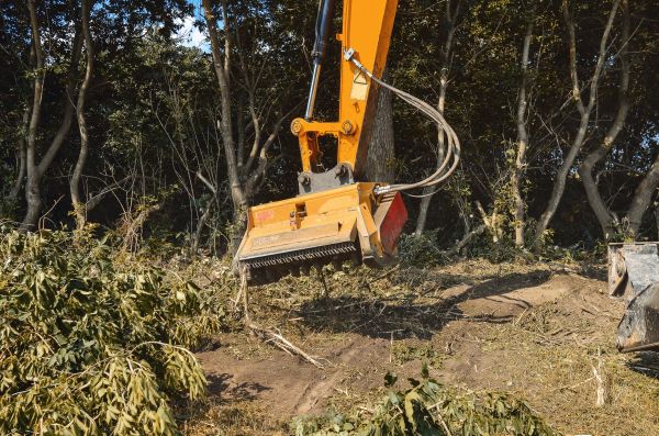 Brush Removal Service in Round Rock