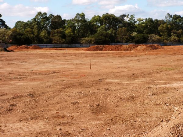 Cost of Field Clearing in Round Rock