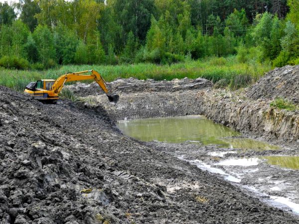 Cost of Lake Lot Clearing in Round Rock