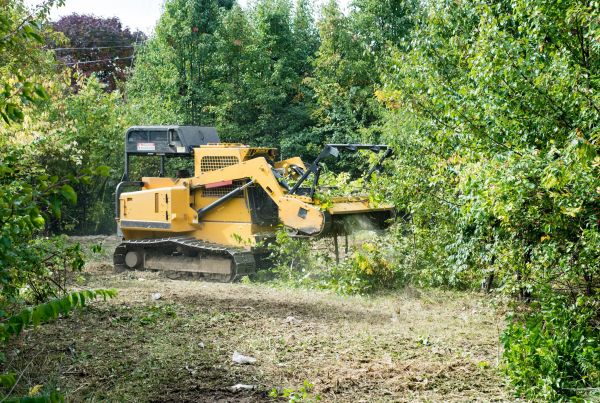 Cost of Pathway Clearing in Round Rock