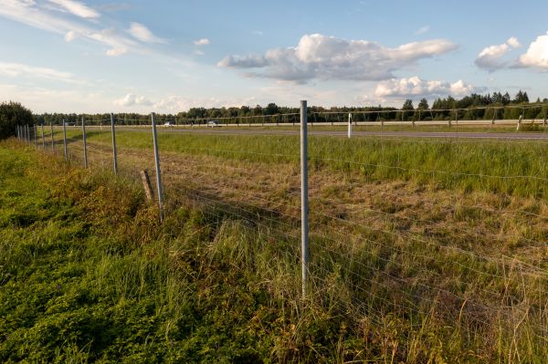 Cost of Property Line Clearing in Round Rock
