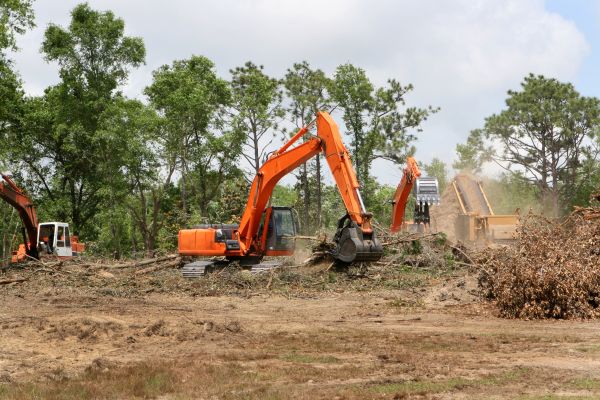 Cost of Commercial Lot Clearing in Round Rock