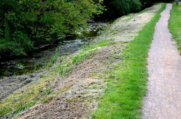 Cost of Trail Cutting in Round Rock